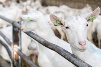 Veelgestelde vragen achtergrond