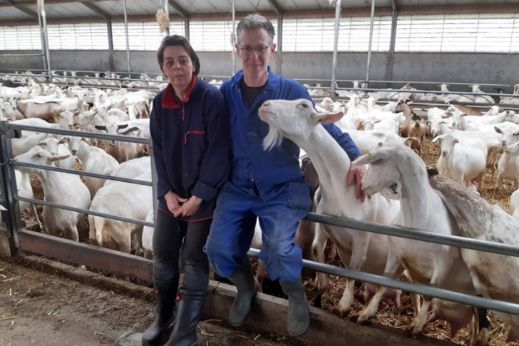 familiecombee-1456x970px