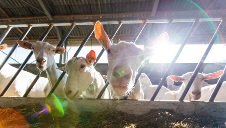 Blog-banner-3840x2160px