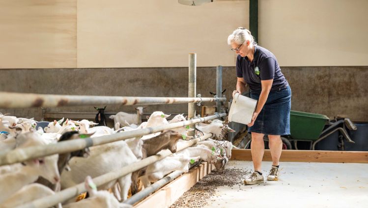 blog dag van de boerin - 3840x2160px