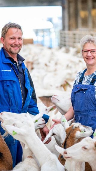 Melkleverancier Arie van den Bergh -1370x1370px