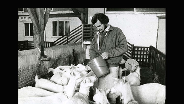 Achtergrond geiten - 3840x2160px